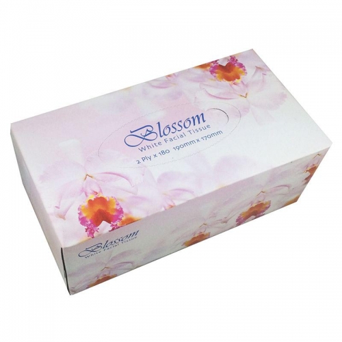 Blossom Facial Tissue 2 ply 180's