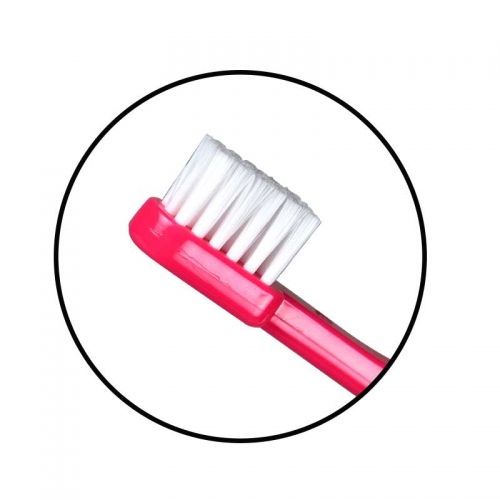 Caredent Eco Plus Junior Toothbrush Professional Pack