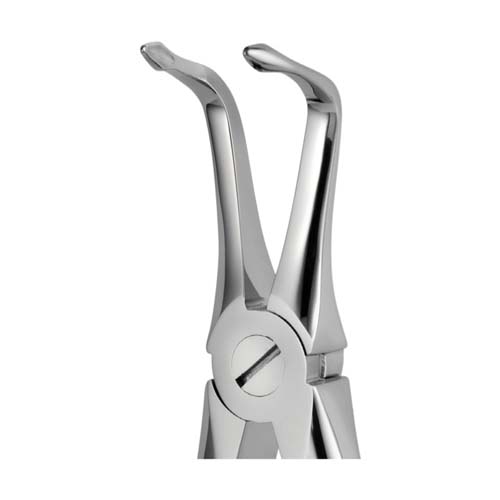 Ongard Lite-Touch Forceps ENG Upper & Lower Root #146