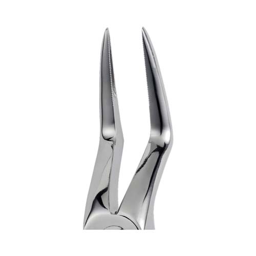 Ongard Lite-Touch Forceps ENG Upper Root #151