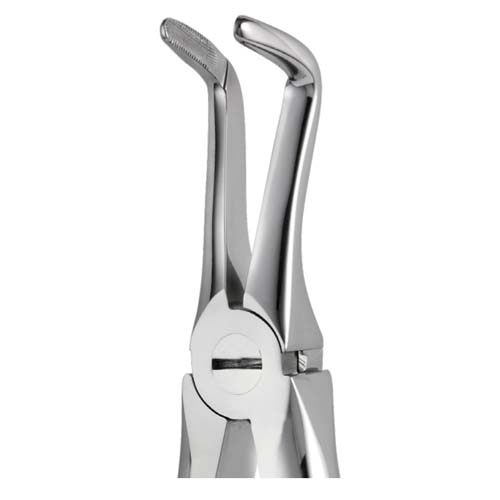 Ongard Lite-Touch Forceps ENG Lower Root #45