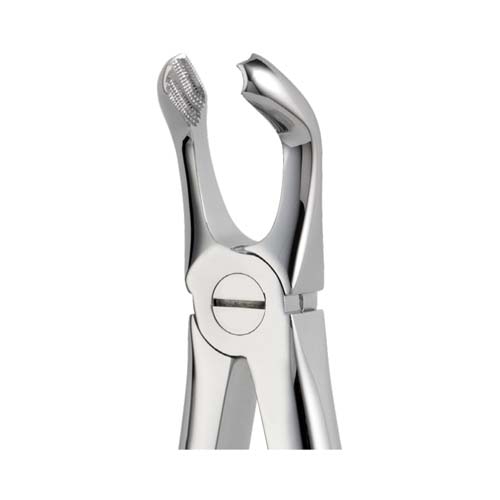 Ongard Lite-Touch Forceps ENG Lower Third Molar #79
