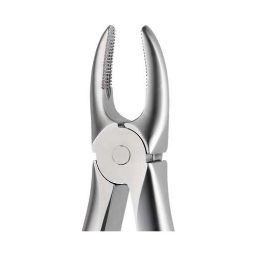 Ongard Lite-Touch Forceps ENGAH Upper Lateral & Canine #2