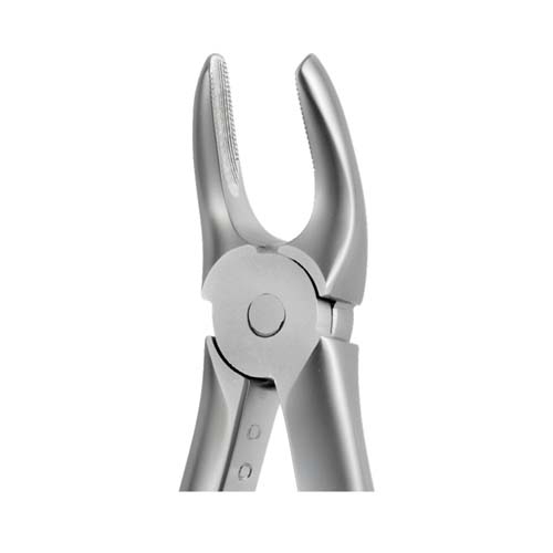 Ongard Lite-Touch Forceps ENGAH Upper Molar Right #17
