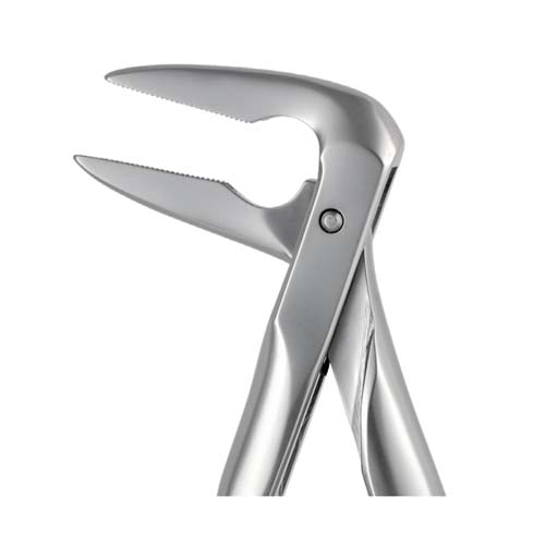 Ongard Lite-Touch Forceps ENGAH Lower Root #59