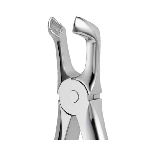 Ongard Lite-Touch Forceps ENGAH Lower Third Molar #79A