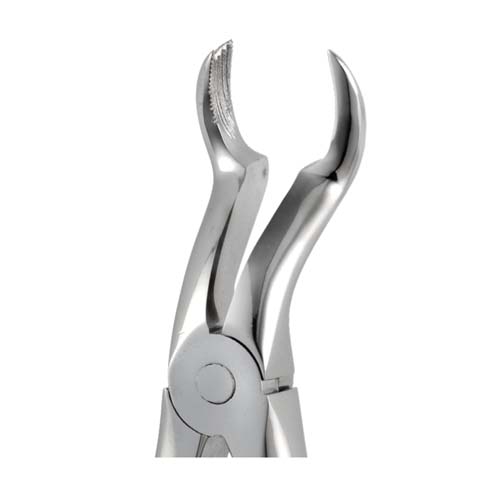 Ongard Lite-Touch Forceps ENGAH Upper Molar Right #89