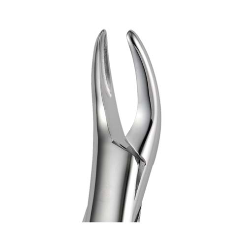 Ongard Lite-Touch Forceps USA Small Root #69