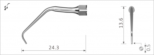 Xpedent Ultrasonic Scaler Tip NSK EN11